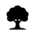 NARVOO